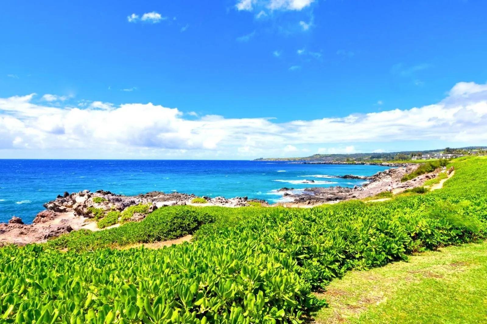 Kbm Resorts Free Car Kapalua Bay Villa Oceanfront 1-Bedroom Condo With Amazing Views Kbv-30G2